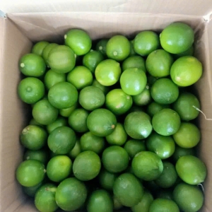 Chanh không hạt – Xu hướng tiêu dùng xanh đang lên