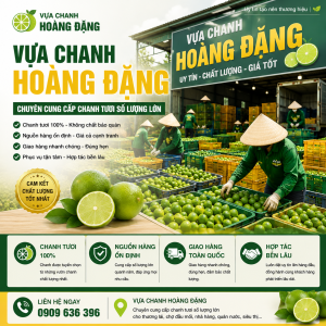 Tiên Phong Xây Dựng Chuỗi Cung Ứng Nông Sản Sạch Và Giải Pháp Bảo Quản Tối Ưu Cho Thị Trường Nội Địa