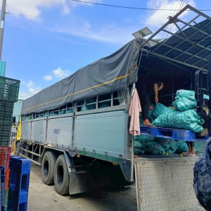 Ép chanh lấy nước - 500 tấn / tháng 