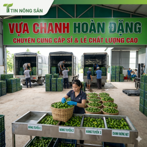 Nguồn Cung Sỉ Nông Sản Tận Gốc – Uy Tín, Chất Lượng, Giá Cạnh Tranh Nhất Thị Trường