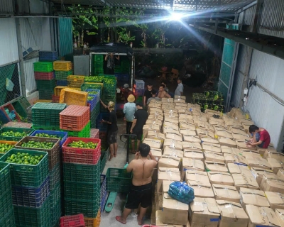 Thị Trường Campuchia