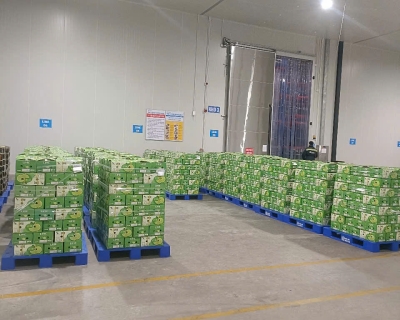 Thị Trường Trung Đông